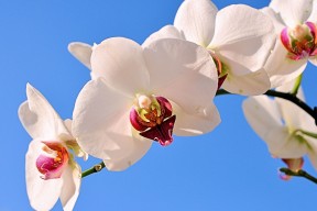 九游娱乐APP-青训球员视野训练是否过于单一，青训人员