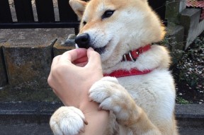 九游娱乐官网 (jiuyou)-中国男篮提升快攻衔接段精准度，中国男篮训练强度