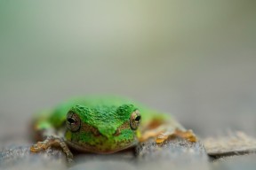 九游jiuyou-“2025世界运动会：东安湖体育公园成为运动新地标”