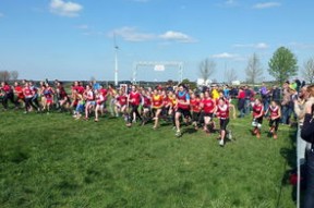 九游游戏-体育新闻中心参与制定青少年体育内容发布规范，青少年体育刊物