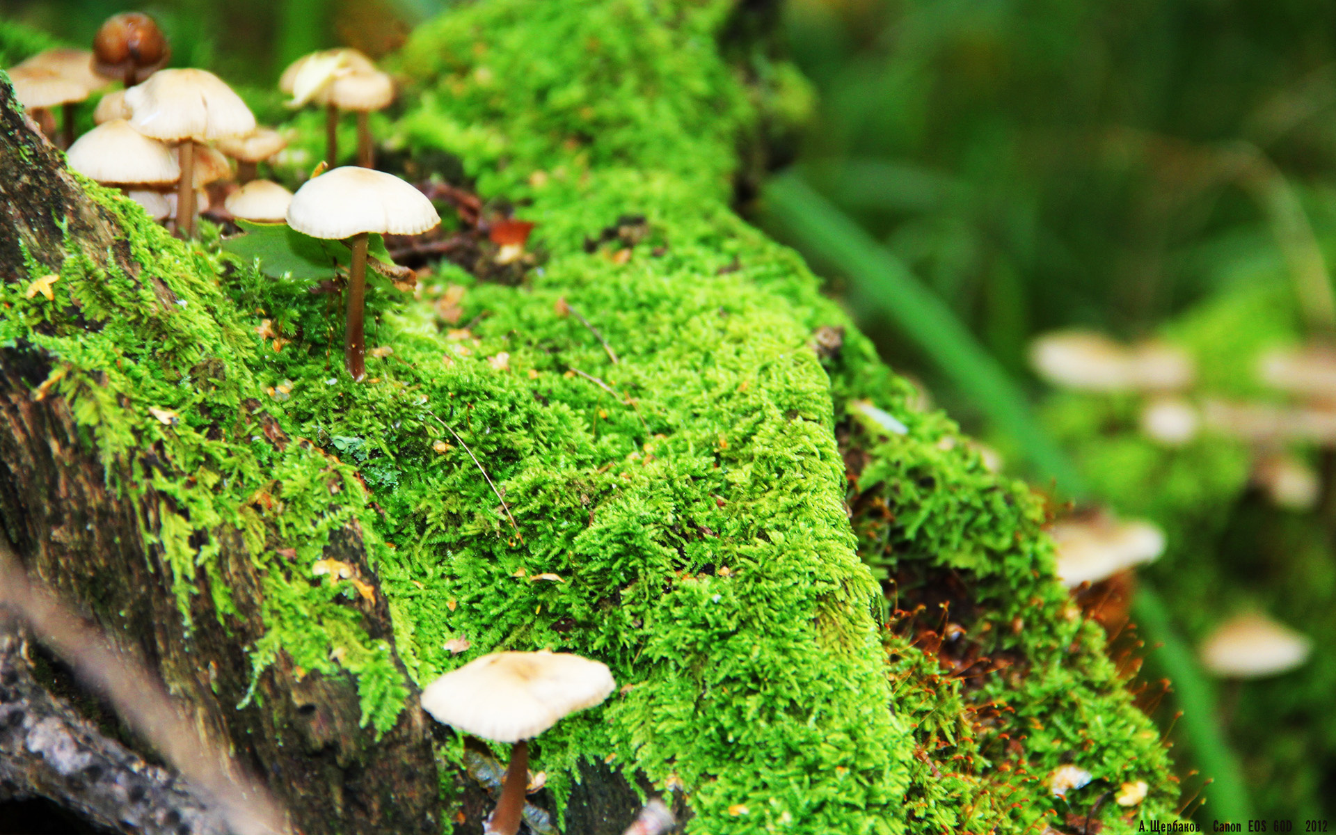 2023年乒乓球公开赛精彩回顾，赛场瞬间难忘，2023年乒乓球比赛