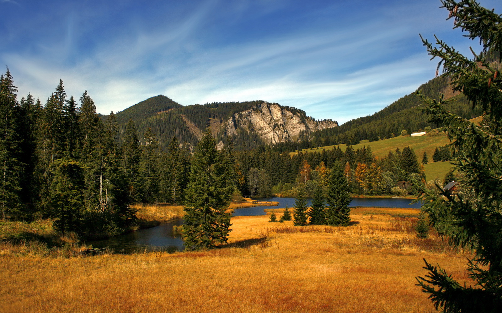 “自由搏击赛，四川省体育馆成战场！”