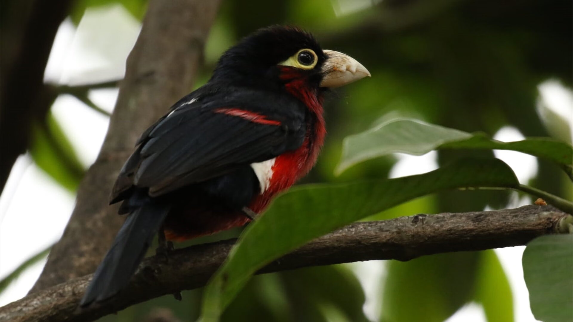 万名志愿者集结，智能服务系统上线，万人志愿服务活动