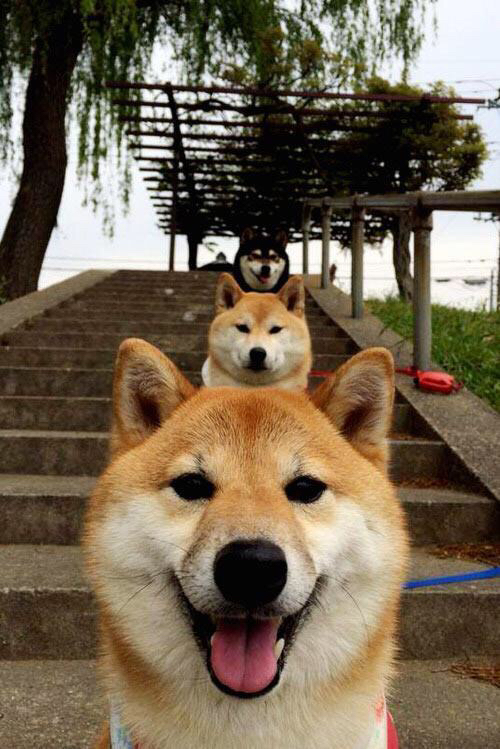 全国青少年滑板训练营首次设置双板项目，滑板训练班