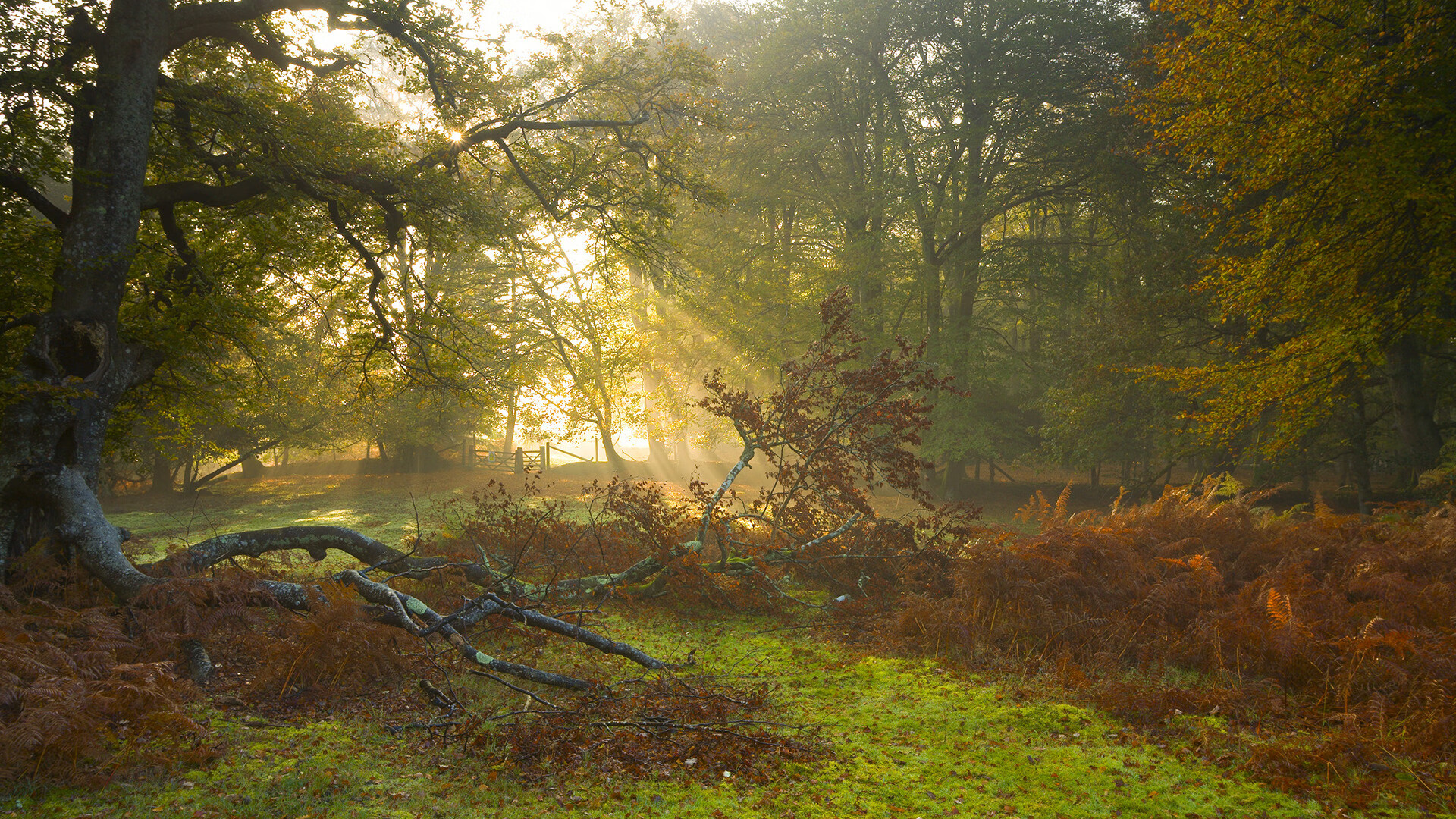俱乐部财务风险管理不足，俱乐部财务风险管理不足怎么写