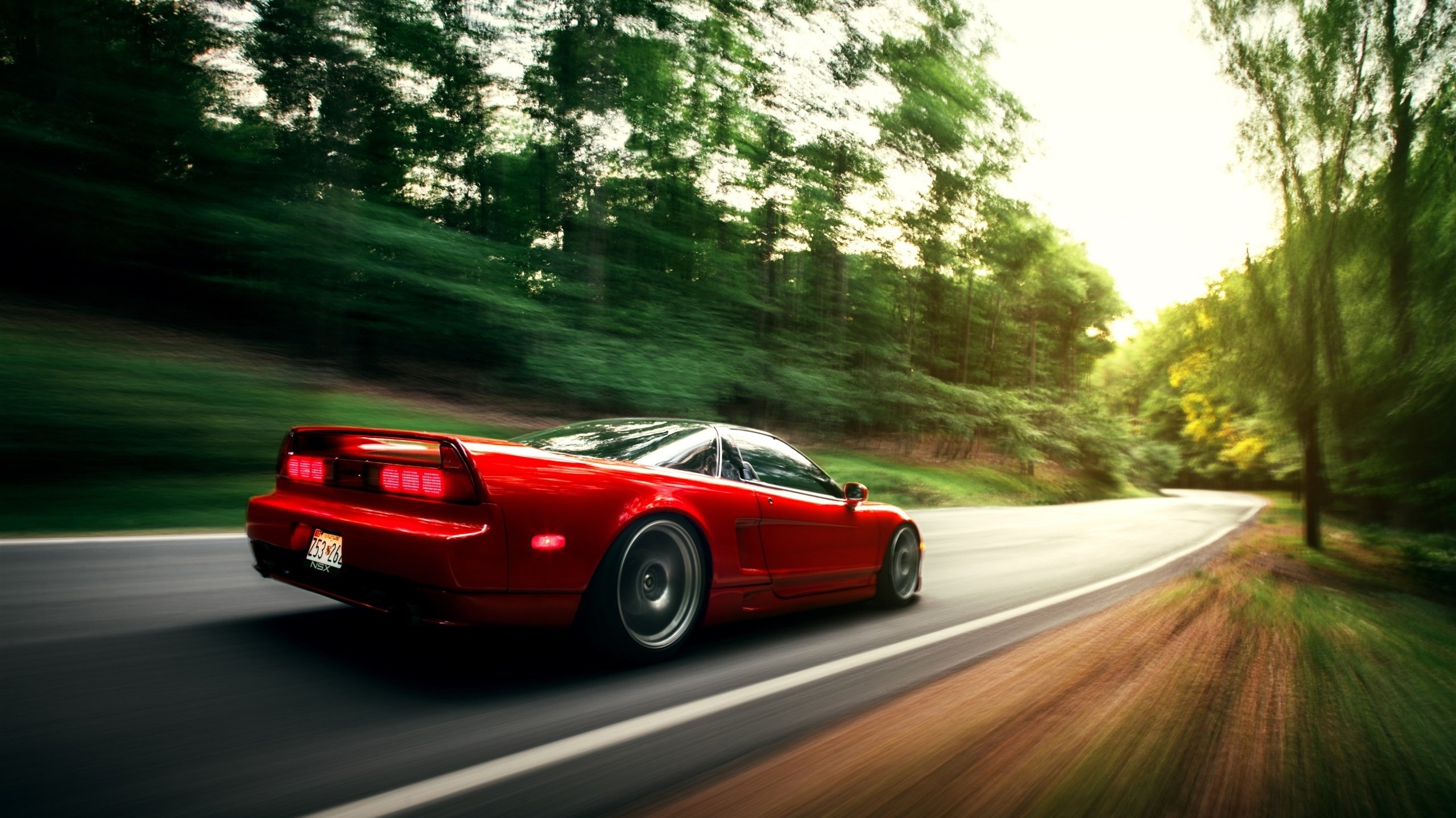 Preda与Popovici高台表现稳定进阶