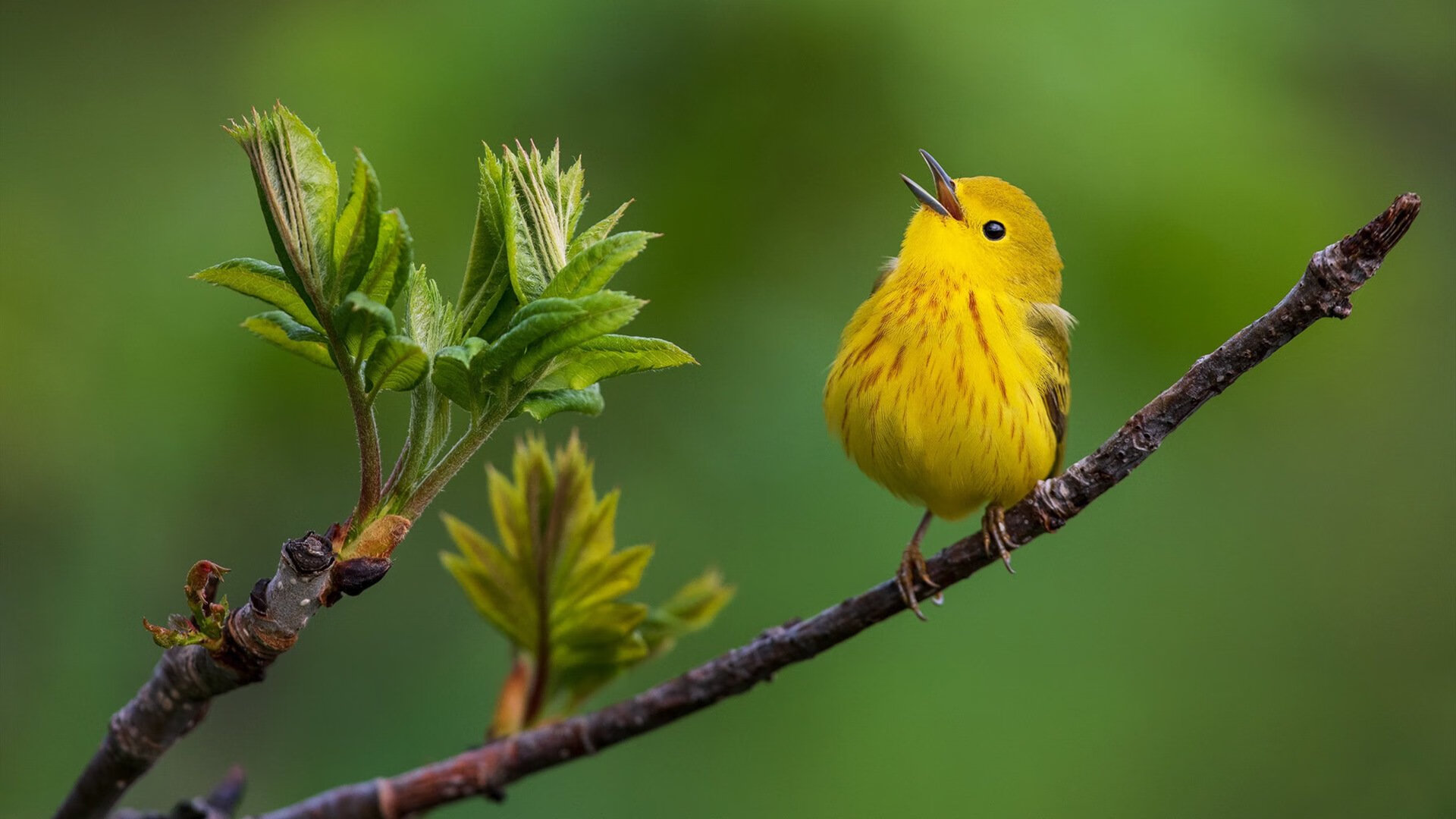 全场观众见证绝杀一刻，全场观众见证绝杀一刻是真的吗